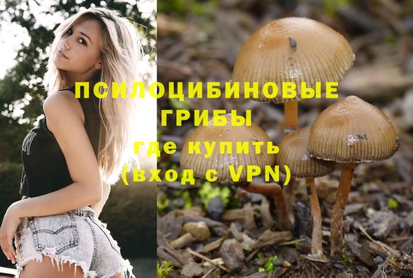 mdpv Алексеевка