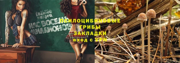 а пвп мука Абдулино