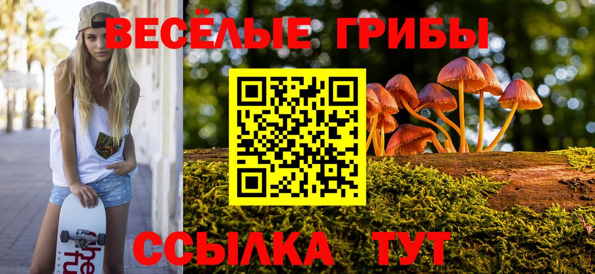 Псилоцибиновые грибы GOLDEN TEACHER Шарыпово