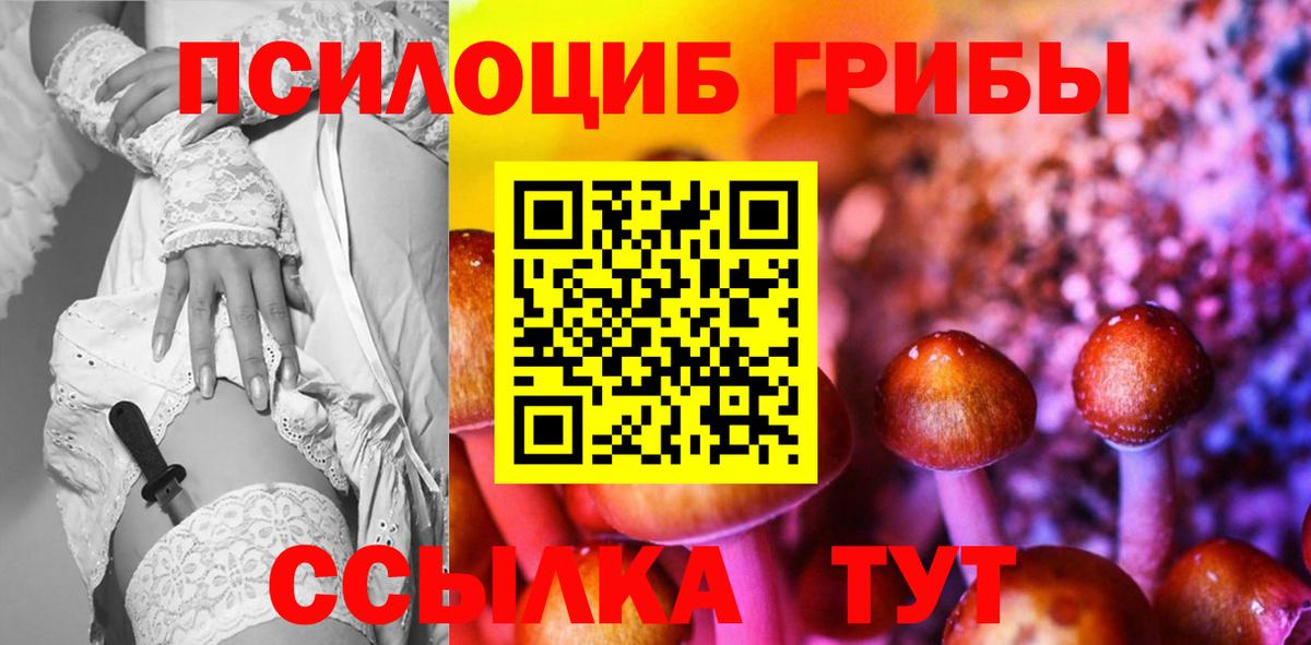 Шарыпово  Галлюциногенные грибы Psilocybine cubensis  Вход с VPN 